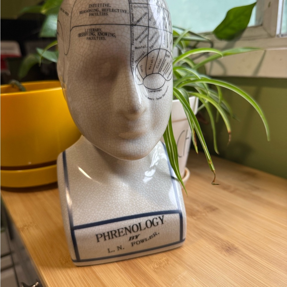 Phrenology Head Bust - White and Blue